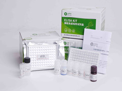 小鼠谷草转氨酶(AST)ELISA试剂盒操作使用方法