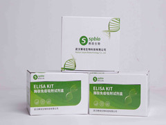 赛培产品文献：人IL-1β、MCP-1、VEGF ELISA试剂盒