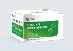 大鼠CD40配体(CD40L)ELISA试剂盒 货号：SP13624