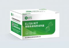 人白介素6(IL-6)ELISA试剂盒  货号：SP10234