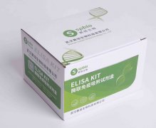 羊β干扰素(IFN-β/IFNB)ELISA试剂盒 货号：SP18069