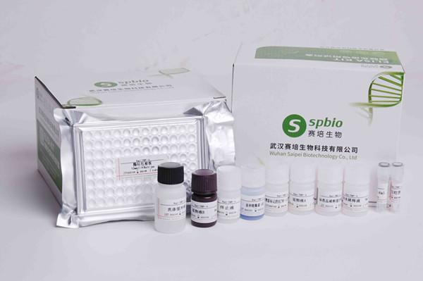 鱼胶原酶I(Collagenase I)ELISA试剂盒  货号：SP28902