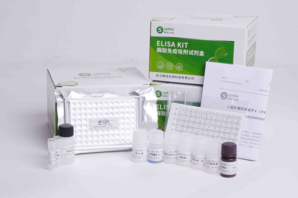 鱼酪氨酸羟化酶(TH)ELISA试剂盒  货号：SP28908